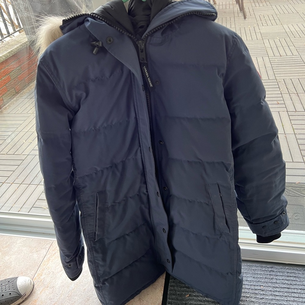 Blue Canada Goose!